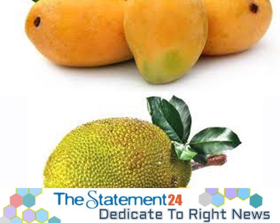 Mangoes and Jackfruits in Summer: The Risks of Overeating