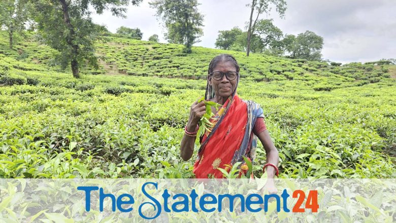 BRAC Bank, VisionSpring to provide eye care to 2,000 tea garden workers and families